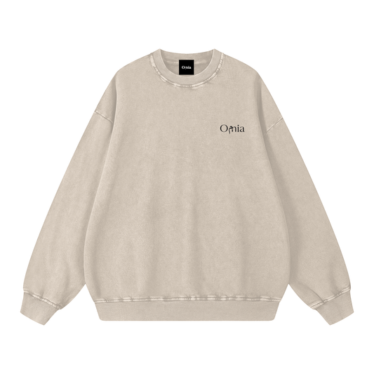 Pilot: Never Repeated Snow Washed Oversized Sweatshirt